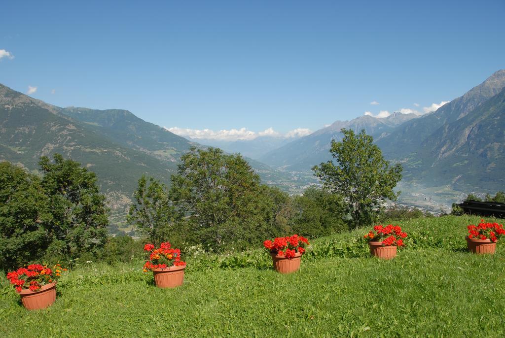 Agriturismo Plan D'Avie أَويستا المظهر الخارجي الصورة