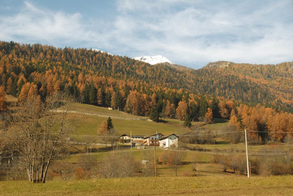 Agriturismo Plan D'Avie أَويستا المظهر الخارجي الصورة