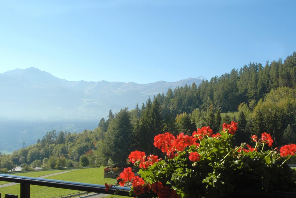 Agriturismo Plan D'Avie أَويستا الغرفة الصورة
