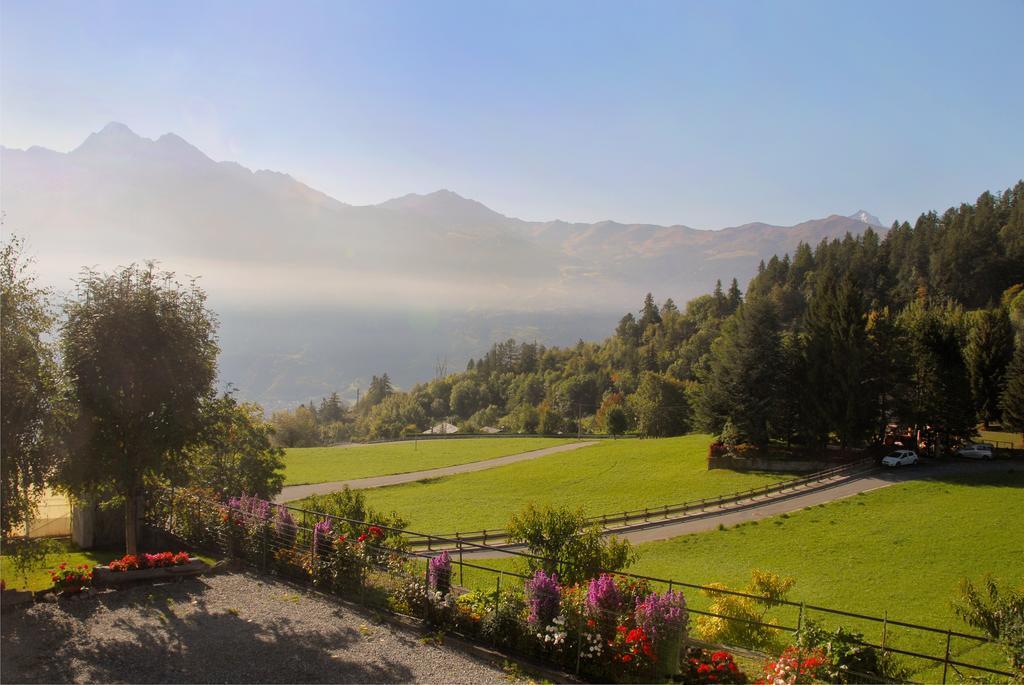 Agriturismo Plan D'Avie أَويستا المظهر الخارجي الصورة