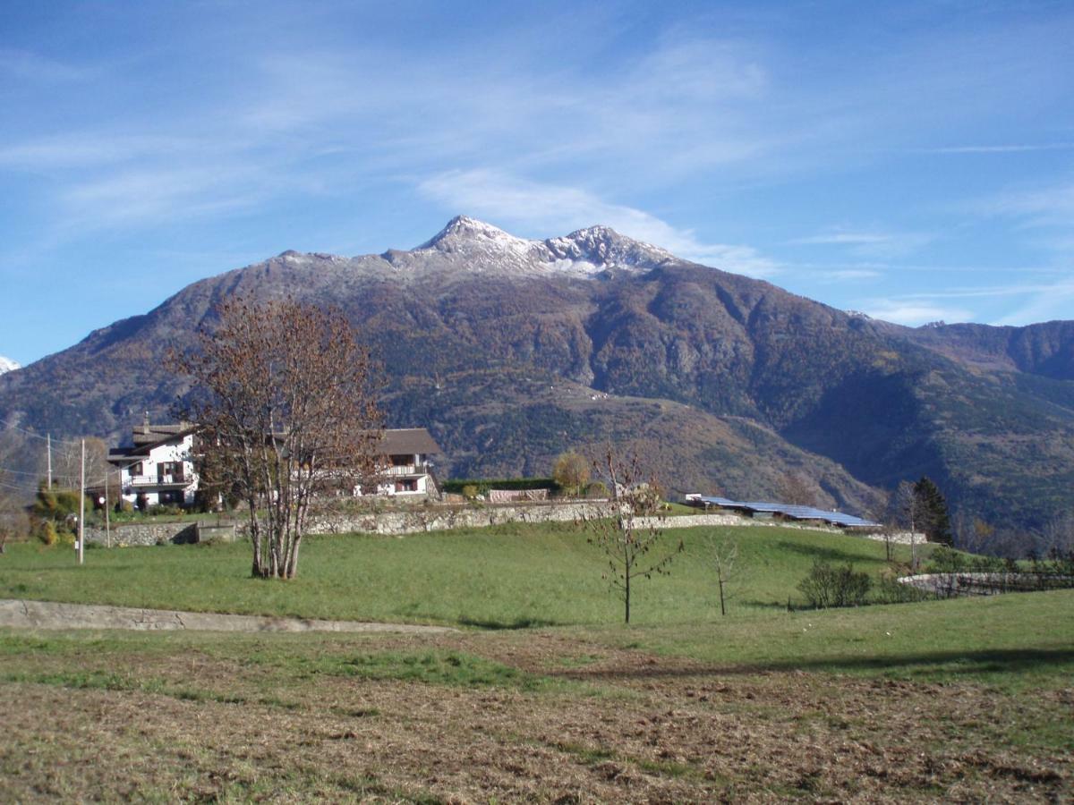 Agriturismo Plan D'Avie أَويستا المظهر الخارجي الصورة