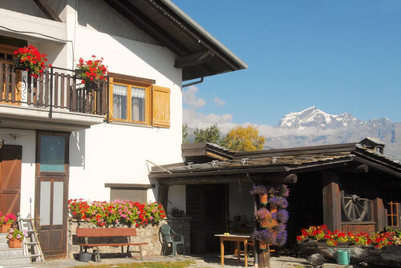 Agriturismo Plan D'Avie أَويستا المظهر الخارجي الصورة