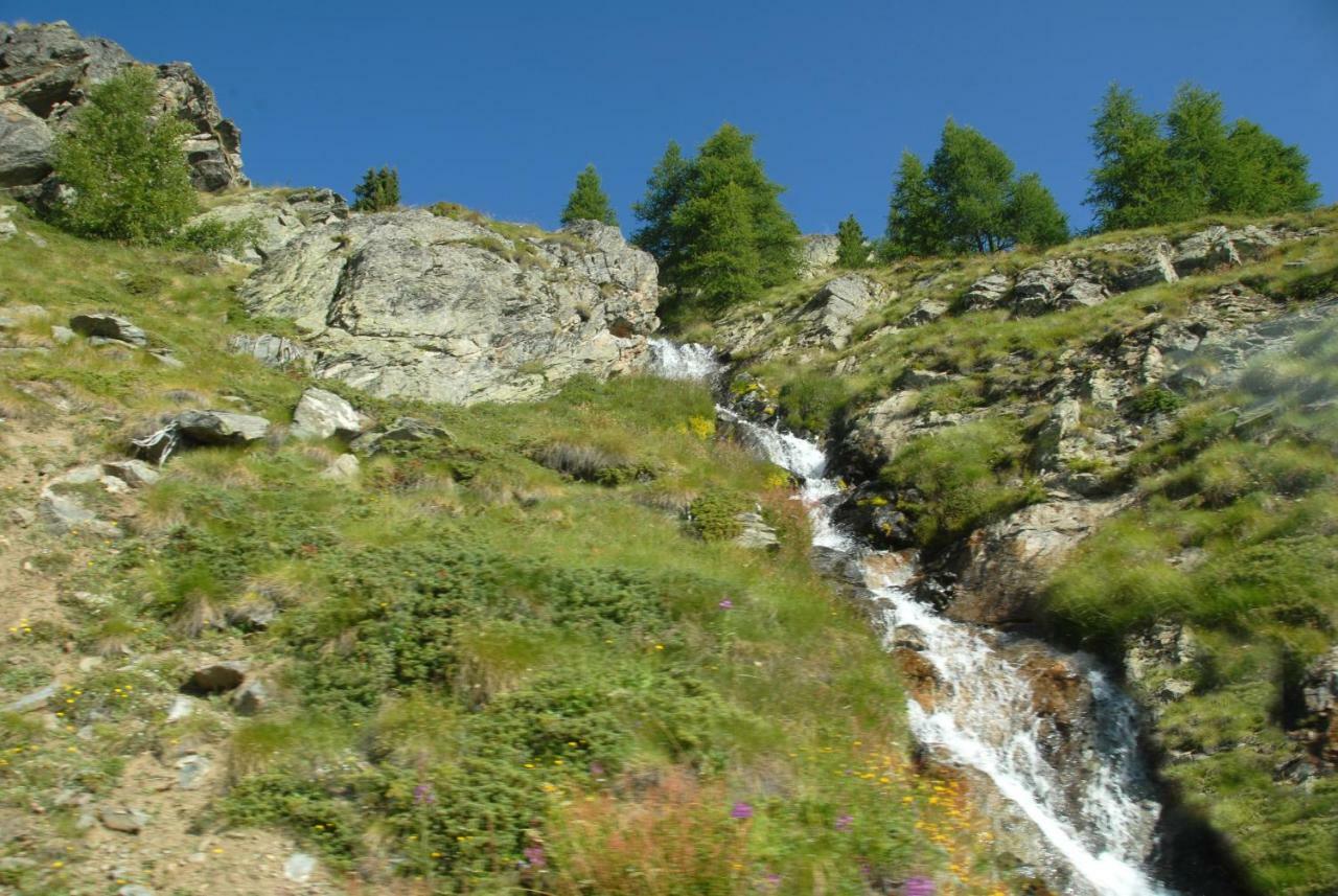 Agriturismo Plan D'Avie أَويستا المظهر الخارجي الصورة